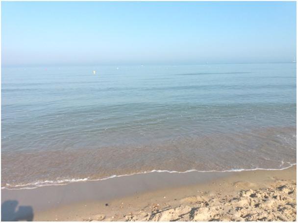 Marjori Oostende Met Gratis Parkeerplaats エクステリア 写真